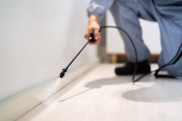 Licensed Pest Control service in Three Forks, MT - Show Me Pest Control